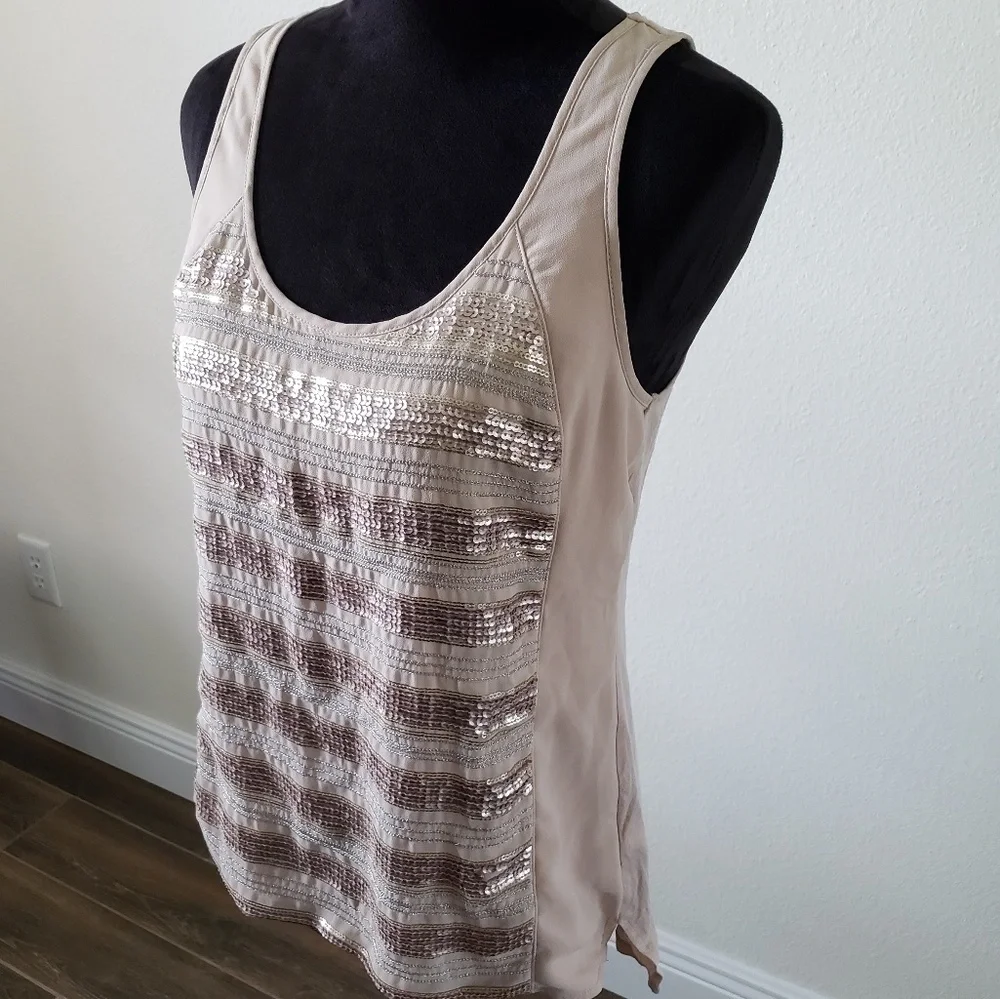 Sequin Striped Tank Express - Picture 2 of 6